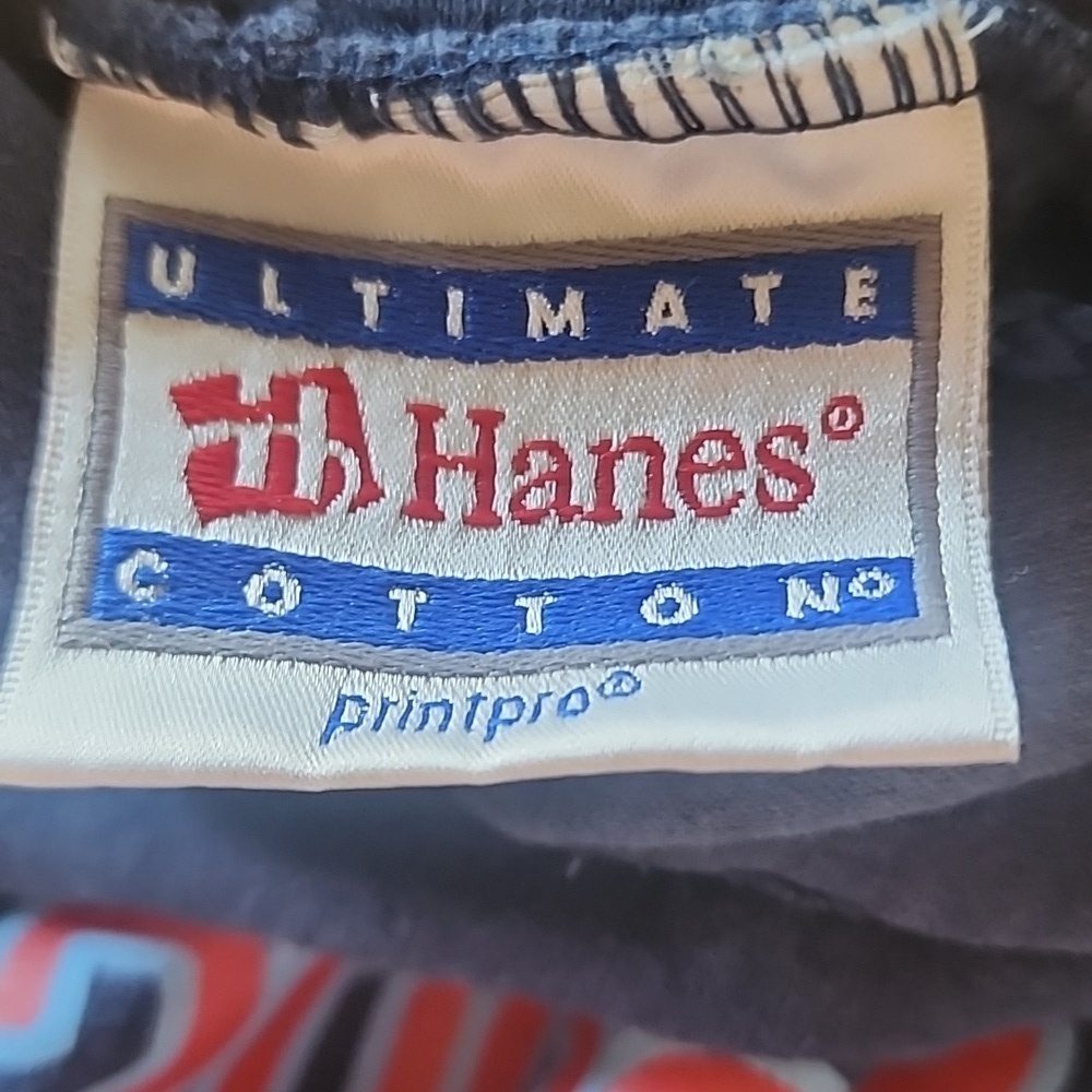 Hanes Ultimate Cotton Vintage 2006 Campapalooza Hoodie Y2K - Picture 5 of 6
